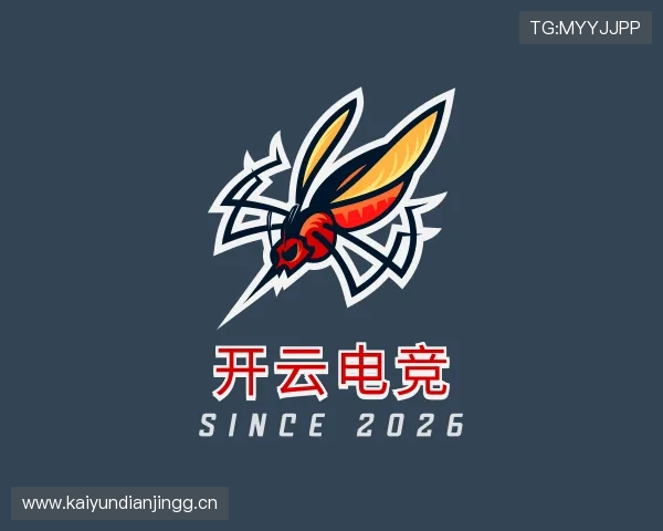 关于Kaiyun电竞